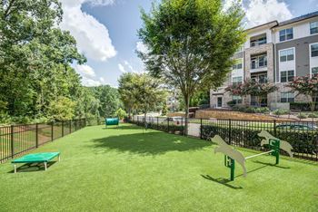 Community dog park